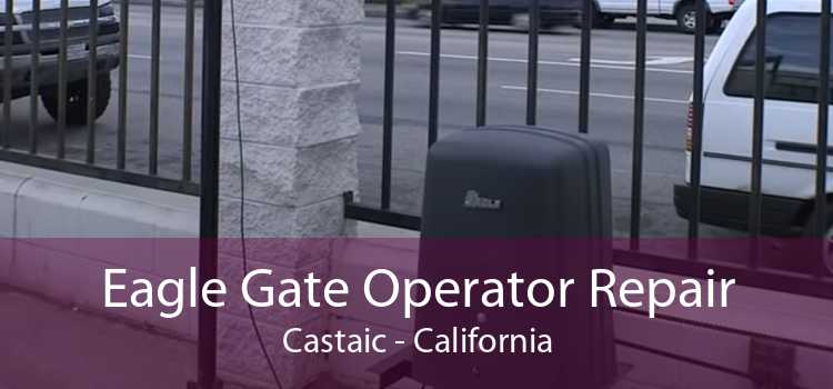 Eagle Gate Operator Repair Castaic - California