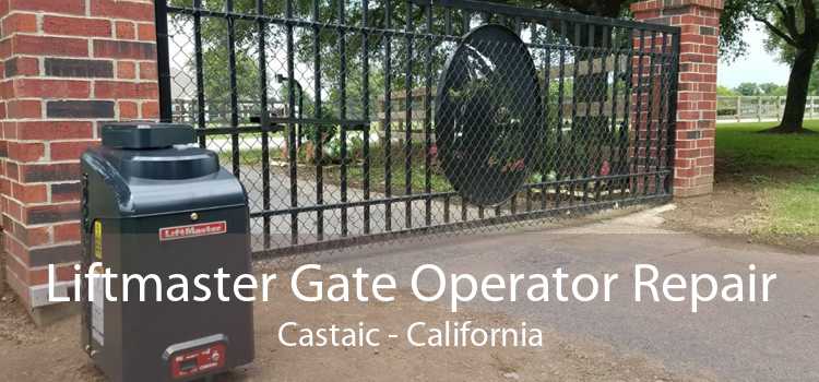 Liftmaster Gate Operator Repair Castaic - California
